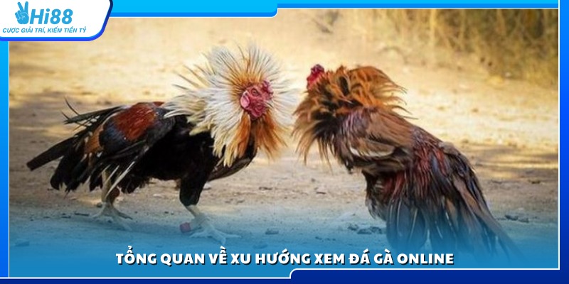 Tìm hiểu xu hướng thịnh hành của xem đá gà online